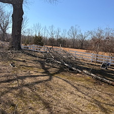 Rapid-Recovery-Storm-Debris-Cleanup-In-Oxford-MS 4